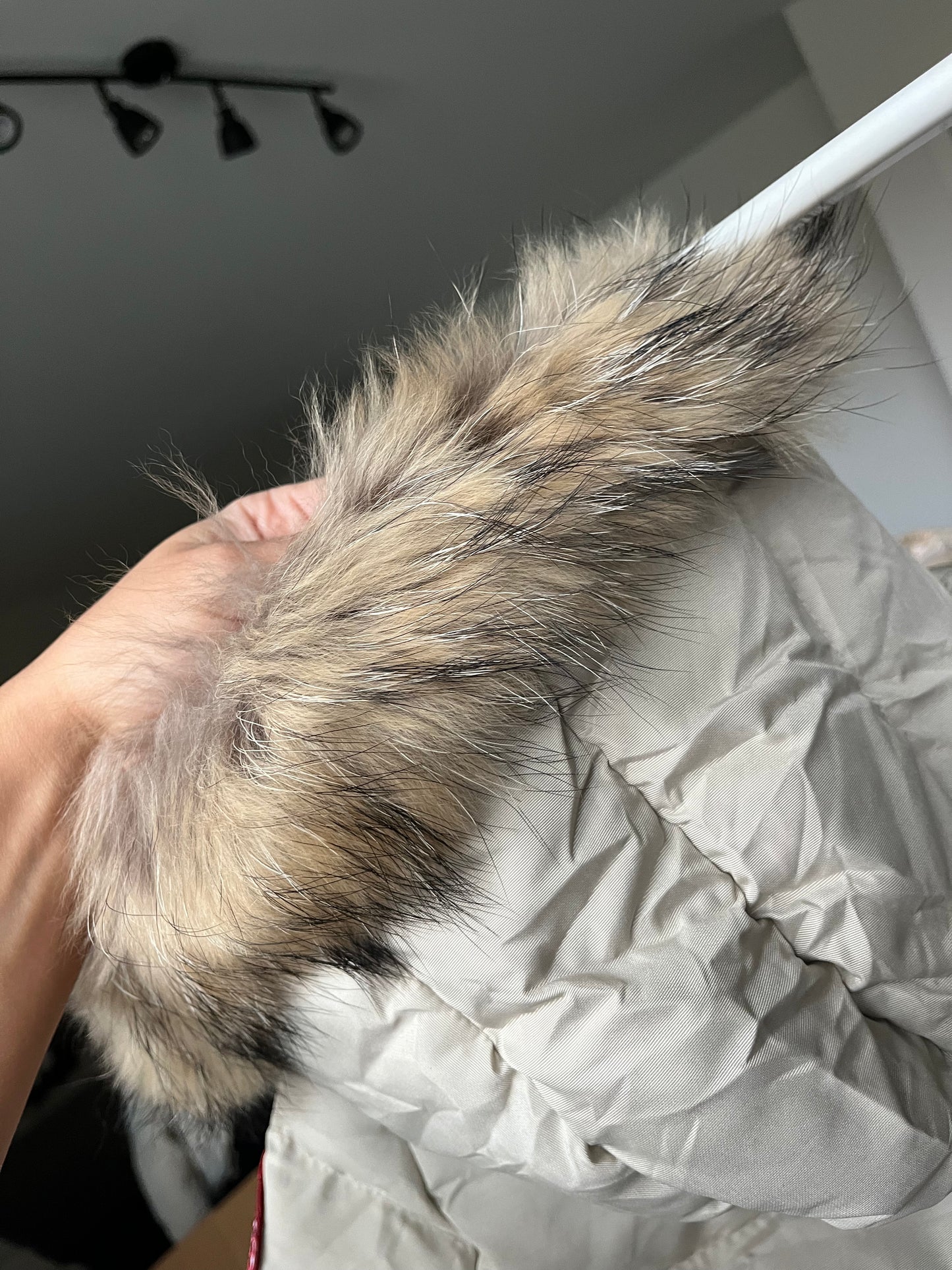 Canada Goose winterjas beige